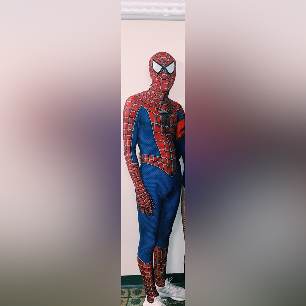 Mens Spiderman costume